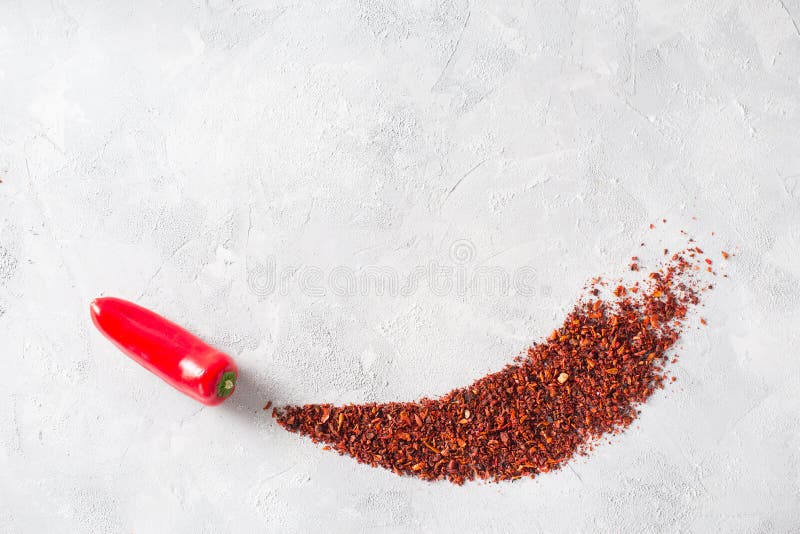 Un mini poivre rouge aiment une fusée au-dessus de fond gris image stock Un mini poivre rouge aiment une fusée au-dessus de fond gris image stock