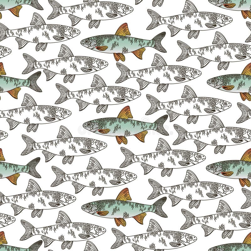 Un model de pește alb grafic cu contur și pește colorat cu contur. peștii înoată în direcții diferite vector illustration