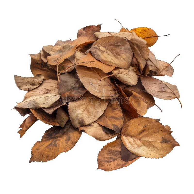 Un montón de hojas de otoño marrones y amarillas stock de ilustración