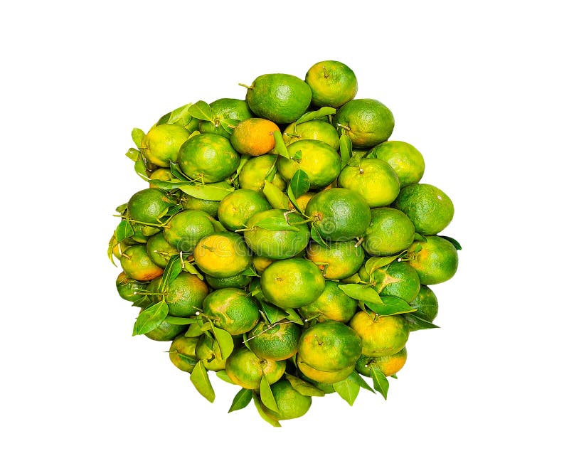 Un montón de naranjas de mandarinas frescas aisladas en un fondo de png un montón de limones verdes fotografía de archivo libre de regalías