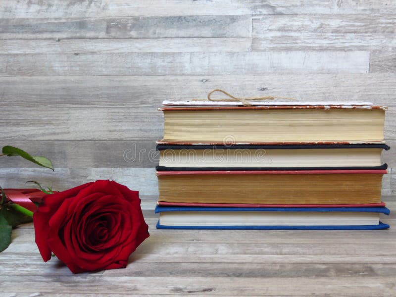 Un mucchio di vecchi libri colorati differenti e di una rosa rossa su fondo di legno bianco Abitudini di lettura memorie Retro st fotografie stock libere da diritti Un mucchio di vecchi libri colorati differenti e di una rosa rossa su fondo di legno bianco Abitudini di lettura memorie Retro st fotografie stock libere da diritti