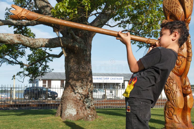 Un muchacho maorí joven sopla un pukaea, una trompeta de madera Tauranga, Nueva Zelanda foto de archivo libre de regalías Un muchacho maorí joven sopla un pukaea, una trompeta de madera Tauranga, Nueva Zelanda foto de archivo libre de regalías