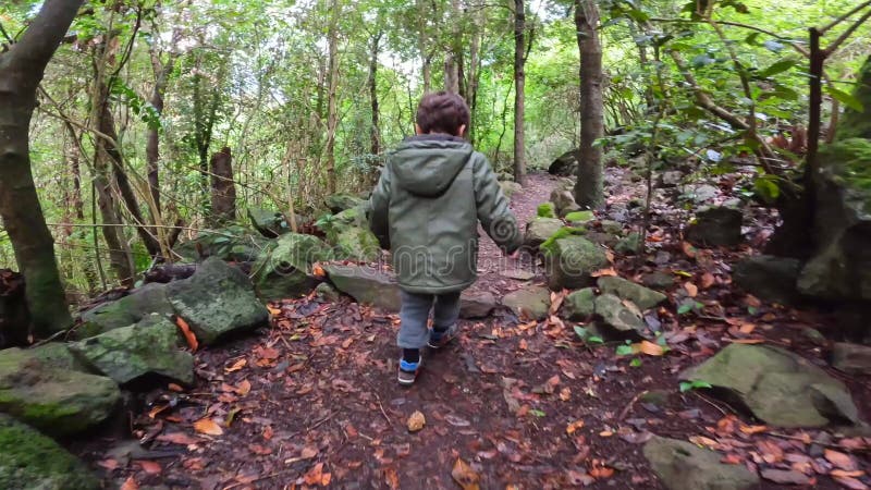 Un niño caminando en el bosque laurisilva de los tilos de moya en doramas