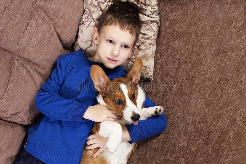 Un niño con un cachorro corgi está tumbado en el sofá imagen de archivo
