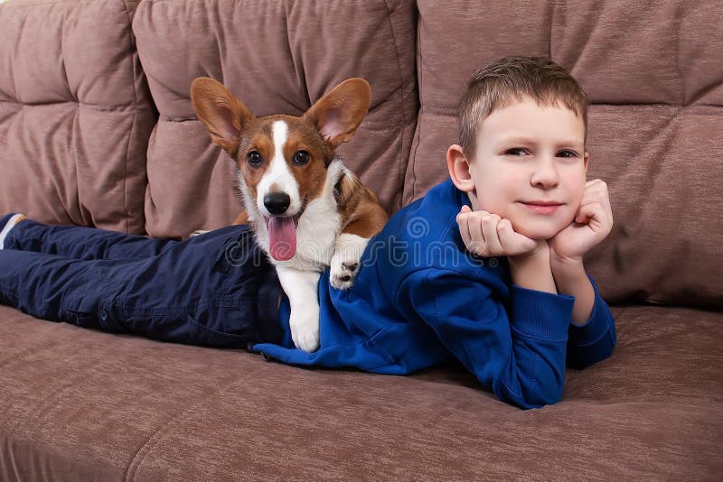 Un niño con un perro está tumbado en el sofá imagen de archivo