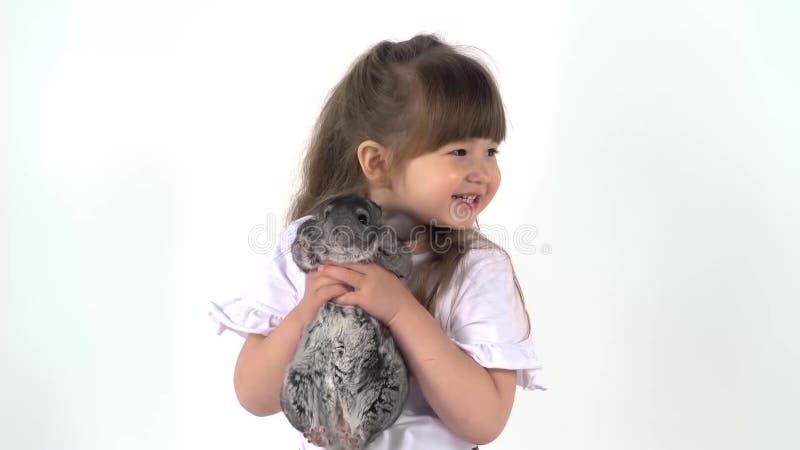 Un niño lindo sostiene chinchilla gris con fondo blanco. concepto de infancia feliz. emoción de niños de video en estudio. cerrar