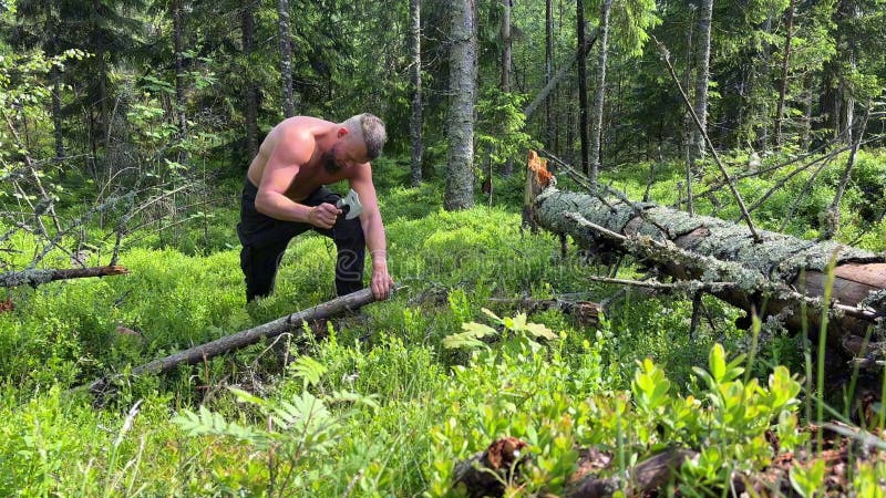 Un Norvégien caucasien sans pitié coupant du bois avec une hache viking dans la forêt clips vidéos