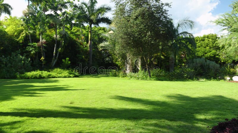 Un paesaggio estivo bellissimo nel giardino botanico di miami, con l'erba verde lussuosa e piante sculture colorate di uno stagno