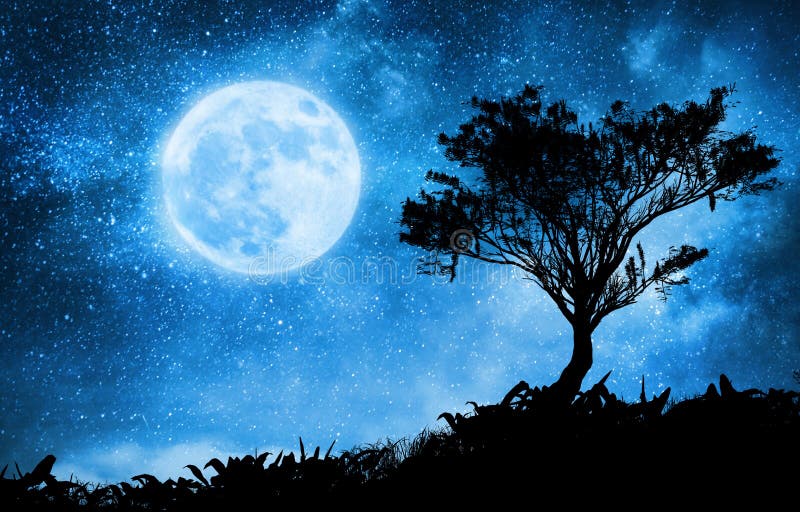 Un Paisaje Mágico De La Noche Con El Cielo Estrellado Stock de ilustración  - Ilustración de luna, lechoso: 134434536