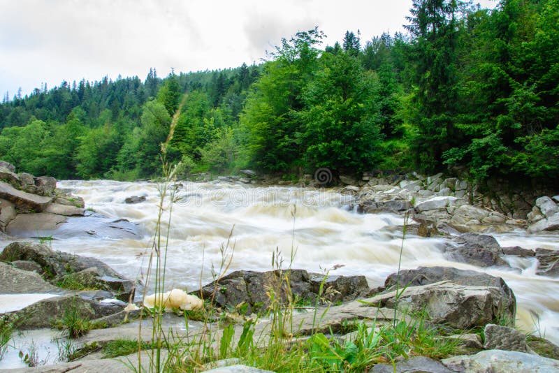 Un paisaje maravilloso en los Cárpatos con un río en el fondo foto de archivo libre de regalías Un paisaje maravilloso en los Cárpatos con un río en el fondo foto de archivo libre de regalías
