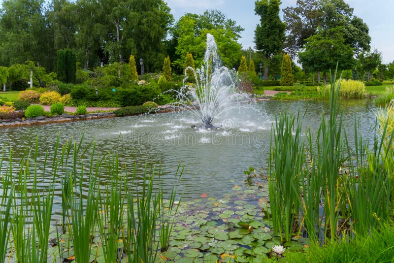 Un paisaje pintoresco de una charca con una fuente transparente en el centro con los agua-lirios y las cañas que crecen en fotografía de archivo libre de regalías Un paisaje pintoresco de una charca con una fuente transparente en el centro con los agua-lirios y las cañas que crecen en fotografía de archivo libre de regalías