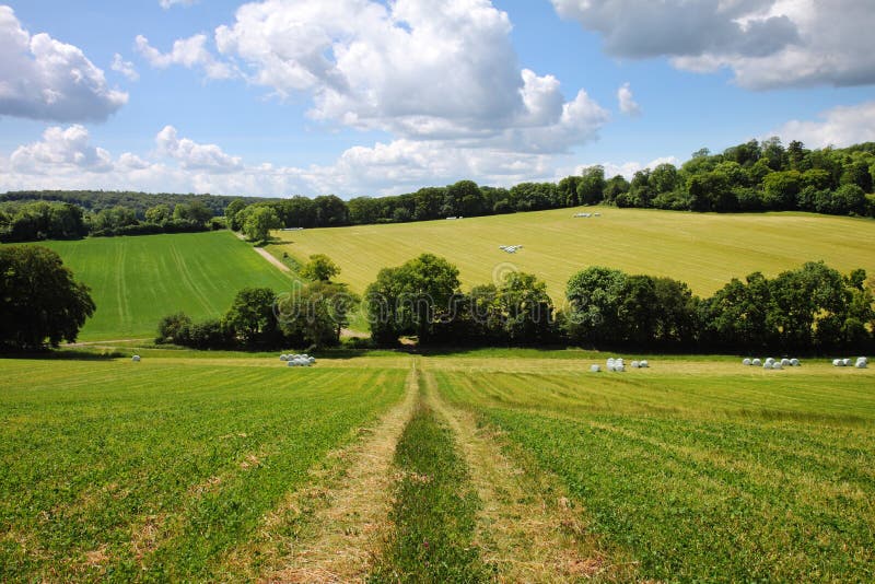 Un paisaje rural inglés en comienzo del verano imagenes de archivo Un paisaje rural inglés en comienzo del verano imagenes de archivo