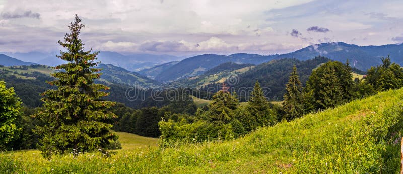 Un panorama de los macizos del bosque en cuestas de montaña y tops que rozan las nubes foto de archivo Un panorama de los macizos del bosque en cuestas de montaña y tops que rozan las nubes foto de archivo