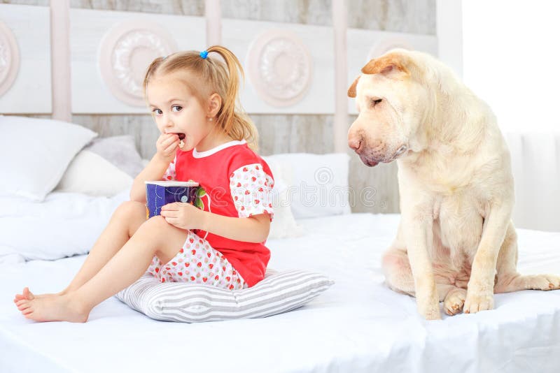 Un pequeño niño que come las palomitas El perro tiene hambre El concepto es fotos de archivo libres de regalías Un pequeño niño que come las palomitas El perro tiene hambre El concepto es fotos de archivo libres de regalías