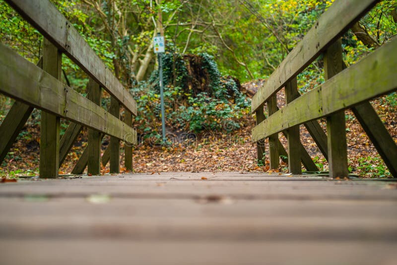 Un percorso attraverso una piccola foresta vicino al villaggio di Hude fotografie stock Un percorso attraverso una piccola foresta vicino al villaggio di Hude fotografie stock