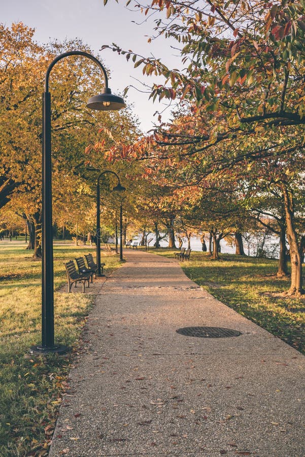 Un percorso della passeggiata con la posta della lampada con paesaggio di caduta fotografie stock libere da diritti Un percorso della passeggiata con la posta della lampada con paesaggio di caduta fotografie stock libere da diritti