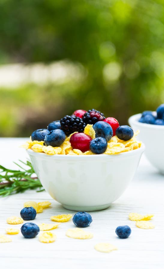 Un petit déjeuner utile dans le jardin sur une table blanche Baies de forêt et flocons d'avoine photo stock Un petit déjeuner utile dans le jardin sur une table blanche Baies de forêt et flocons d'avoine photo stock