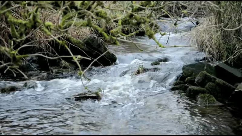 Un petit ruisseau qui descend à flanc de colline dans le sud de l'angleterre du yorkshire. banque de vidéos