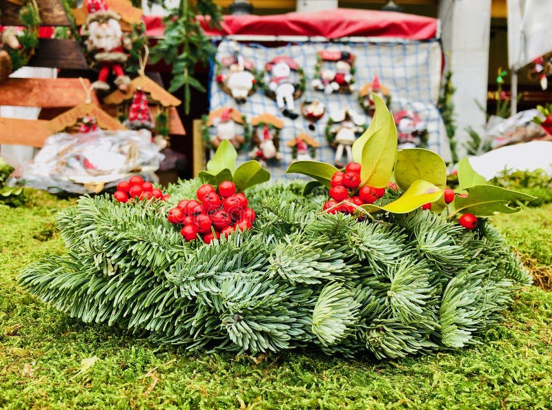 Un pezzo di albero di Natale immagine stock Un pezzo di albero di Natale immagine stock