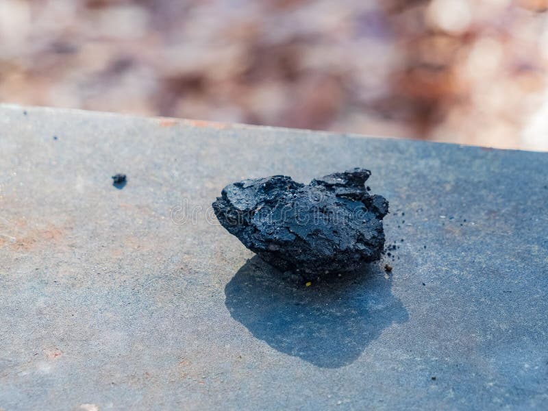 Close up shot of a black coal in Beavers Bend State Park at Oklahoma. Close up shot of a black coal in Beavers Bend State Park at Oklahoma