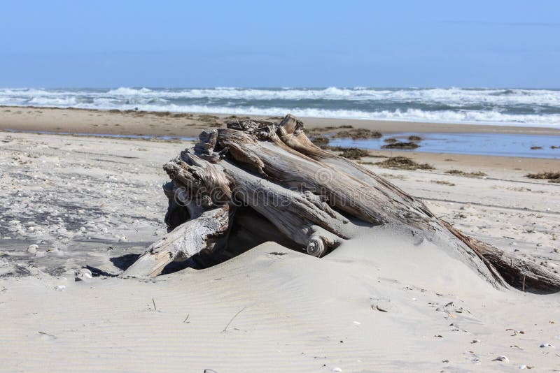 Un pezzo enorme di legname galleggiante sulla spiaggia immagini stock libere da diritti Un pezzo enorme di legname galleggiante sulla spiaggia immagini stock libere da diritti