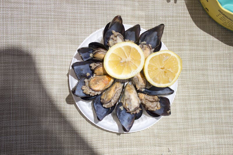 Un piatto delle cozze farcite deliziose su un letto d'abbronzatura sotto il sole di mezzogiorno immagini stock libere da diritti Un piatto delle cozze farcite deliziose su un letto d'abbronzatura sotto il sole di mezzogiorno immagini stock libere da diritti