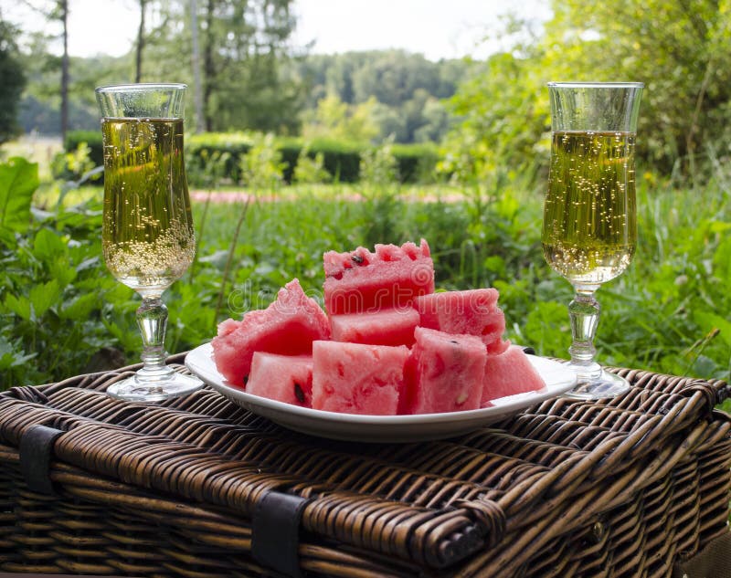 Un picnic con una bevanda e una frutta nel parco un giorno di estate soleggiato fotografia stock Un picnic con una bevanda e una frutta nel parco un giorno di estate soleggiato fotografia stock