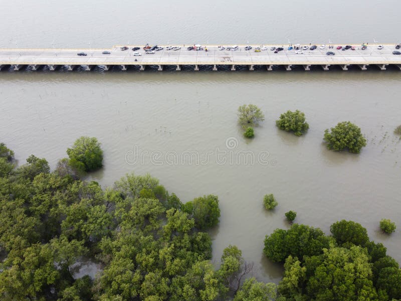 Un pont en bord de mer avec des palétuviers verts un belvédère avec parking pour se reposer à chon ra mak vi tee bridge chon buri. Un pont le long de la mer avec des palétuviers verts un belvédère avec parking pour se reposer à chon ra mak vi tee bridge chon buri province thaïlande.