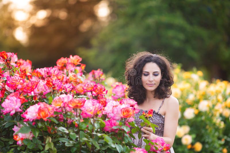 Un portrait horizontal de jeune femme caucasienne avec les cheveux bouclés bruns foncés près des rosiers roses, regardant vers le images libres de droits Un portrait horizontal de jeune femme caucasienne avec les cheveux bouclés bruns foncés près des rosiers roses, regardant vers le images libres de droits