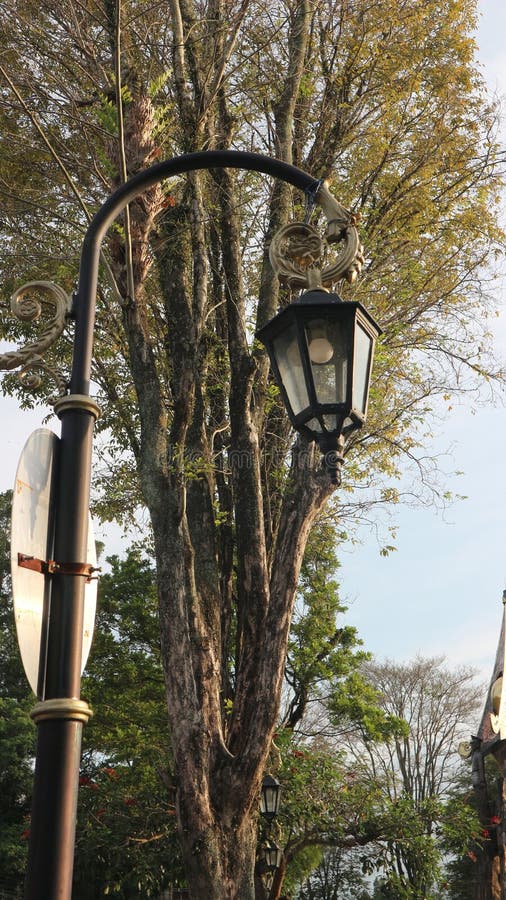 Un Poteau De Jardin Illumine Les Lumières Décoratives Dans Un Parc De La  Ville Avec Un Haut Fond D'arbre Dans L'après-midi. Image stock - Image du  lampe, jardin: 271117425