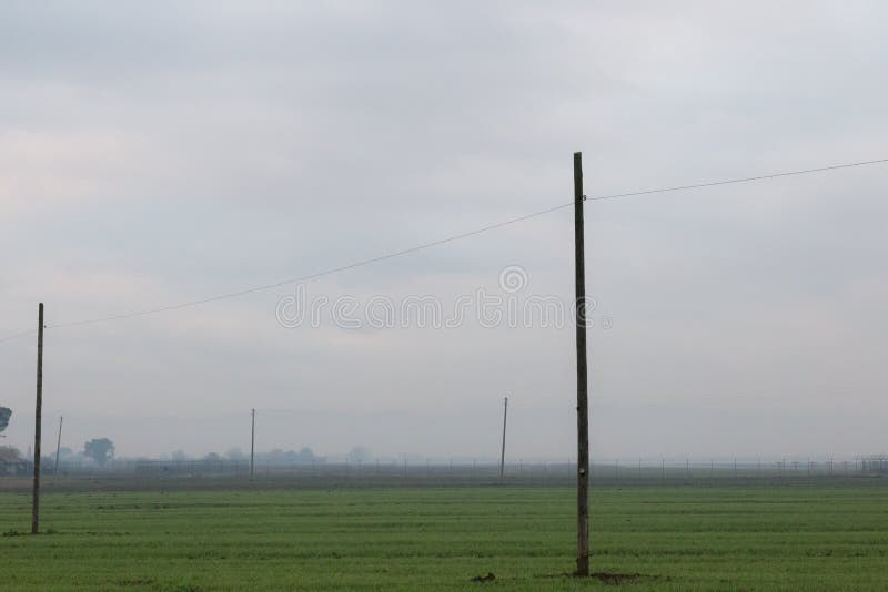 Un prado verde con un poco de líneas eléctricas y niebla viejas imagen de archivo Un prado verde con un poco de líneas eléctricas y niebla viejas imagen de archivo