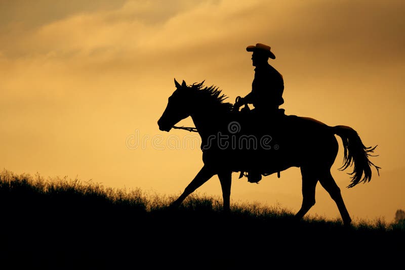 Un prato dorato guida a cavallo. fotografie stock Un prato dorato guida a cavallo. fotografie stock
