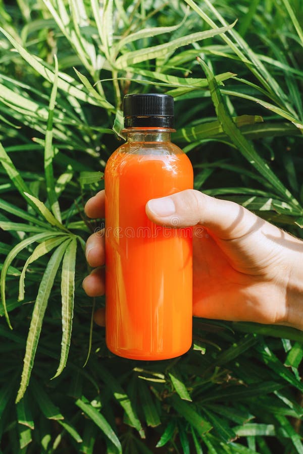 Un prim-plan al unei femei care ține o sticlă de suc de portocale sau de smoothie proaspătă stock photography