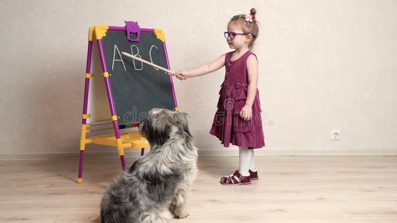 Un professeur de petite fille joue avec son chien à l'école et affiche ses lettres anglaises. Le chien est assis à côté de moi et clips vidéos