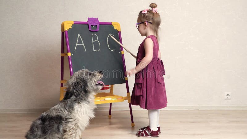 Un professeur de petite fille joue avec son chien à l'école et affiche ses lettres anglaises. Le chien est assis à côté de moi et banque de vidéos