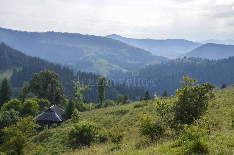 Un pré en pente avec des herbes et des arbustes variés conduit à une petite maison en bois photographie stock