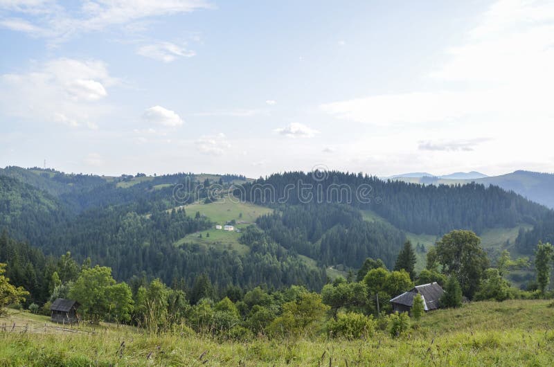 Un pré en pente avec des herbes et des arbustes variés conduit à une petite maison en bois images stock