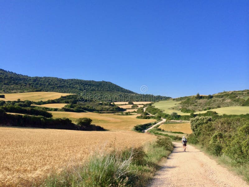 Un pèlerin seul sur le Camino de Santiagoe, manière de confiture de saint images stock Un pèlerin seul sur le Camino de Santiagoe, manière de confiture de saint images stock