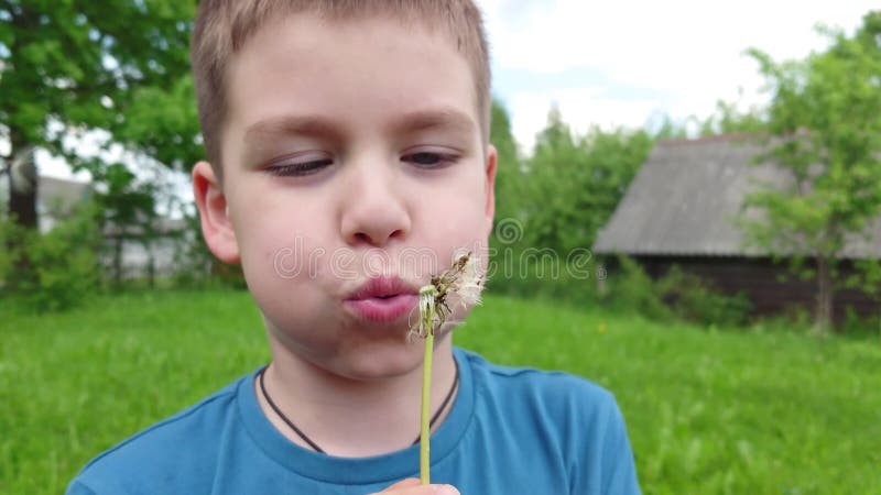 Un ragazzo soffia su un delione di giorno