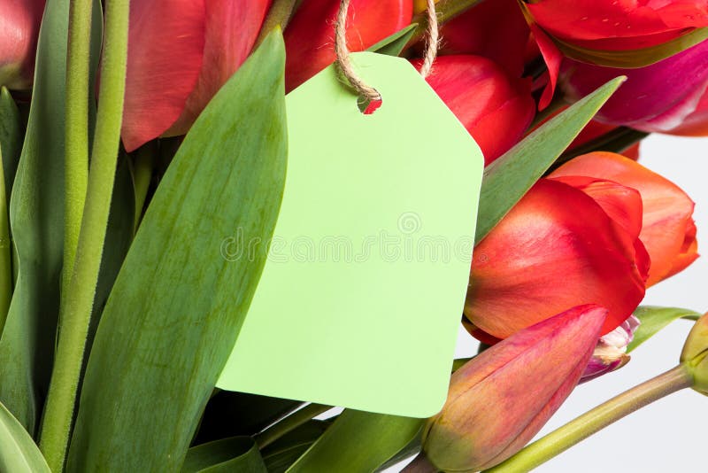  Un Ramo De Tulipanes Rojos Y Una Etiqueta Para La Inscripción Con Felicitaciones Por El Día De Las Madres De Cumpleaños O El   De Foto de archivo