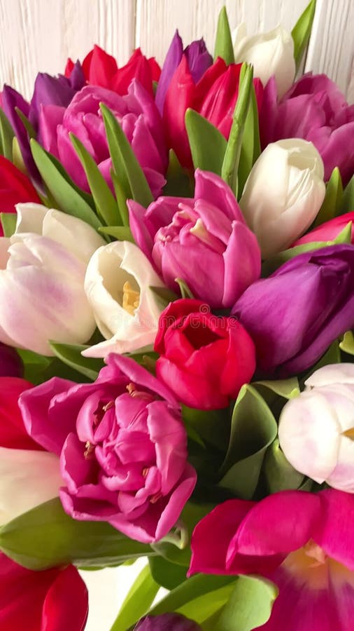 Un ramo vibrante de tulipanes multicolores dispuestos en un jarrón de cerámica blanca. Decoración floral fresca, luminosa y elegan metrajes