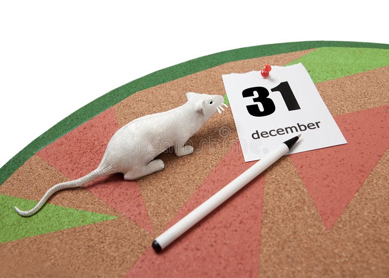 Un rat blanc à côté d'une feuille déchirée de calendrier le 31 décembre et un stylo sur un panneau de liège photographie stock Un rat blanc à côté d'une feuille déchirée de calendrier le 31 décembre et un stylo sur un panneau de liège photographie stock