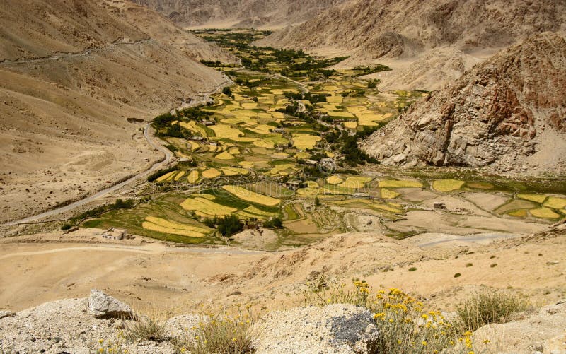 Un remiendo de la tierra en medio del área árida fotografía de archivo Un remiendo de la tierra en medio del área árida fotografía de archivo