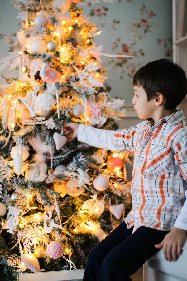 Un retrato de un muchacho que se sienta cerca de árbol de abeto de s foto de archivo Un retrato de un muchacho que se sienta cerca de árbol de abeto de s foto de archivo