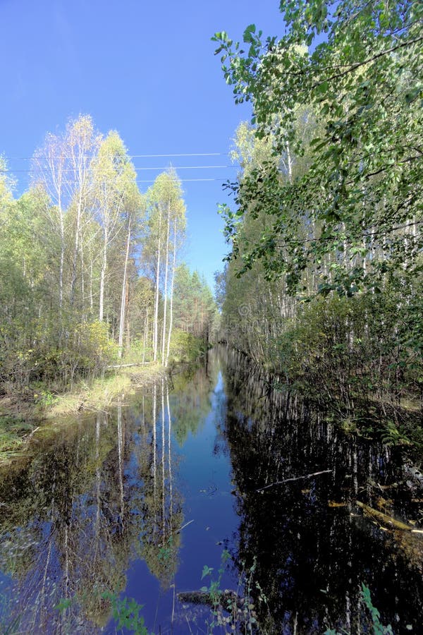 Un río estrecho con una superficie tranquila del agua entre los árboles Reflexión de espejo en el agua oscura del cielo azul y fotografía de archivo Un río estrecho con una superficie tranquila del agua entre los árboles Reflexión de espejo en el agua oscura del cielo azul y fotografía de archivo