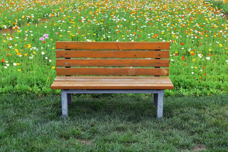 Un sedile di resto nel parco