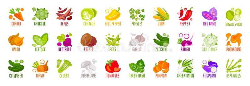 Un set mare de legume cu fructe cu coajă lemnoasă și condimente izolate pe fond alb. frunze colorate. stock illustration