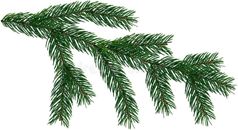 Un sistema de 8 elementos del árbol de navidad de las ramas de árbol de abeto se aísla en un blanco y el fondo transparente añade