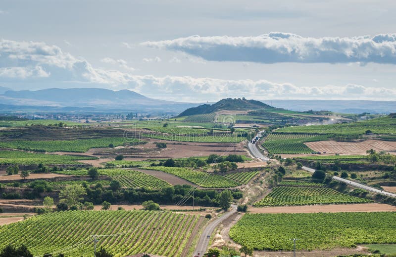 Un skyine des vignobles dans Rioja, Espagne photo libre de droits Un skyine des vignobles dans Rioja, Espagne photo libre de droits