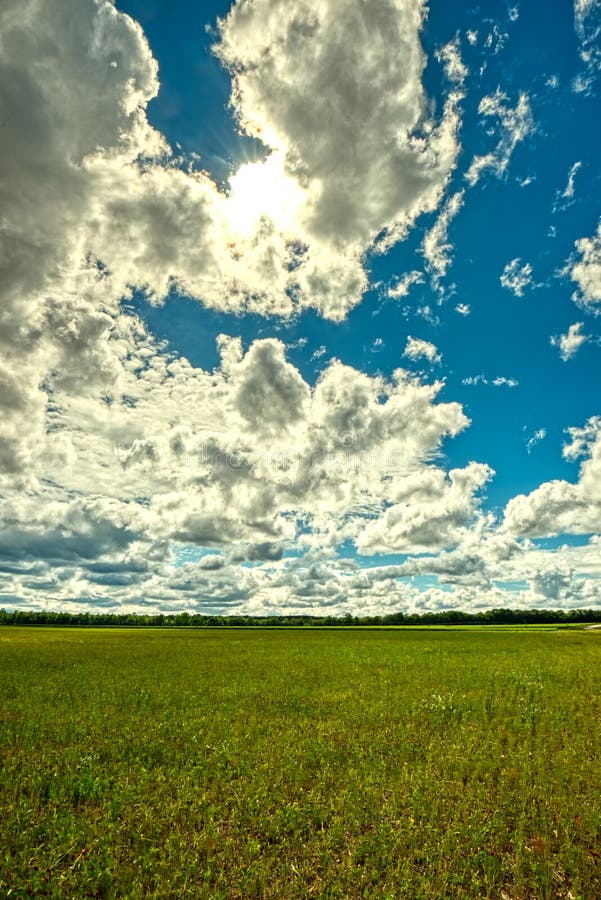 Un soleil lumineux avec les nuages blancs gonflés au-dessus d'un grand champ images libres de droits Un soleil lumineux avec les nuages blancs gonflés au-dessus d'un grand champ images libres de droits